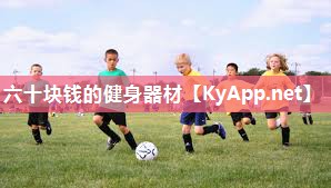 六十块钱的健身器材 六十块钱的健身器材