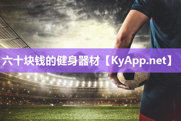 六十块钱的健身器材 六十块钱的健身器材