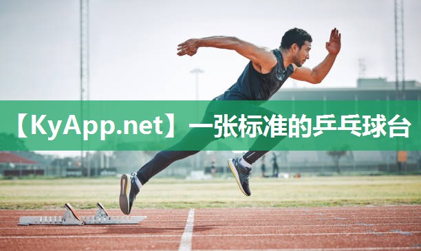 一张标准的乒乓球台 一张标准的乒乓球台