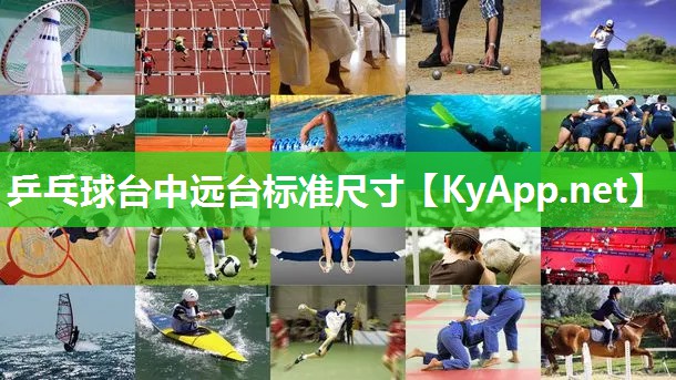 乒乓球台中远台标准尺寸 乒乓球台中远台标准尺寸