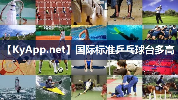 国际标准乒乓球台多高 国际标准乒乓球台多高