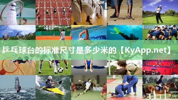 乒乓球台的标准尺寸是多少米的 乒乓球台的标准尺寸是多少米的