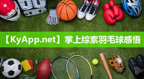 掌上综素羽毛球感悟 掌上综素羽毛球感悟
