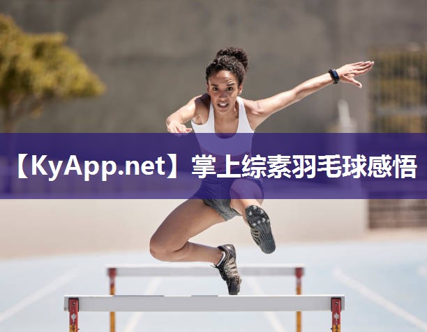掌上综素羽毛球感悟 掌上综素羽毛球感悟